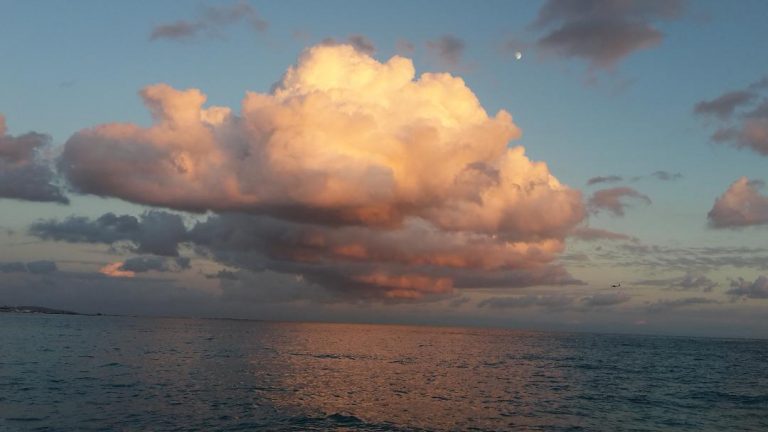 envie de sérénité ? il y a la régulation émotionnelle tipi